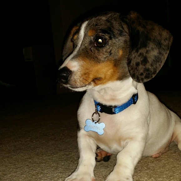 Meet your Posher, Pamela