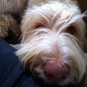 Meet your Posher, Hilary