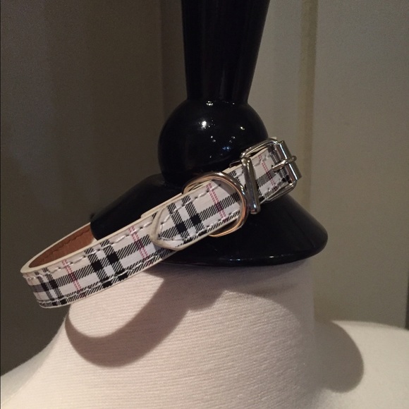 Designer Style dog collar  Medium or Large - Picture 3 of 4