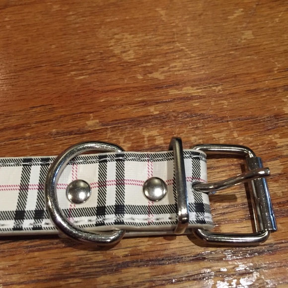 Designer Style dog collar  Medium or Large - Picture 4 of 4