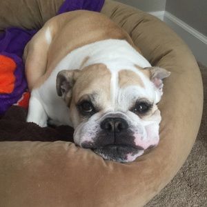 Meet your Posher, Courtney