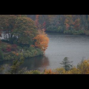 Meet your Posher, Stella