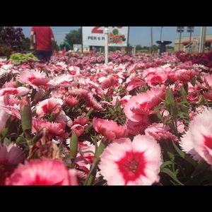 Meet your Posher, Zoe