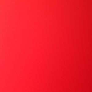 Meet your Posher, Cecilia