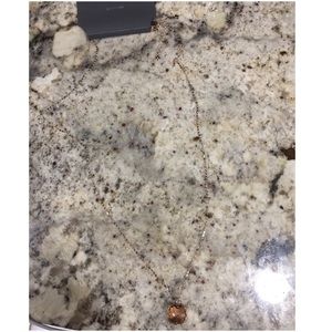 Rose gold express necklace