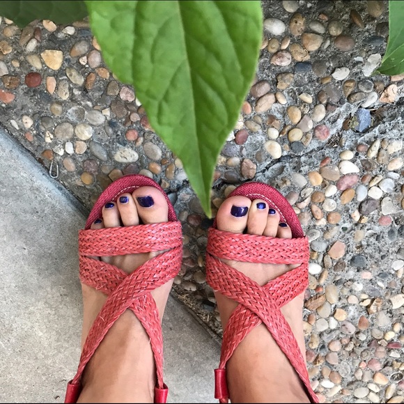 Red wedges
