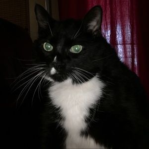 Meet your Posher, Margarita