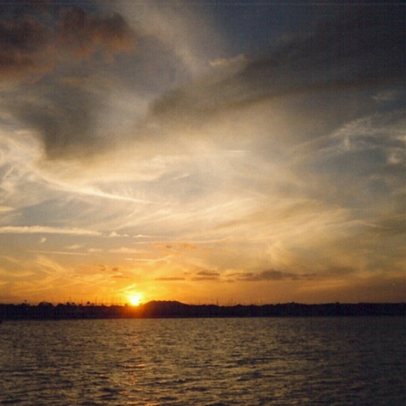 Meet your Posher, Sheila - Picture 2 of 8