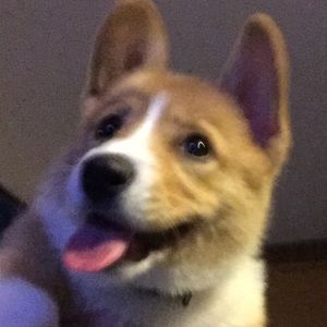 Meet your Posher, Jon