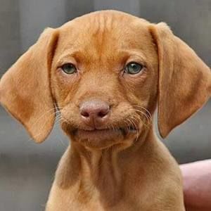 Meet your Posher, Kacey