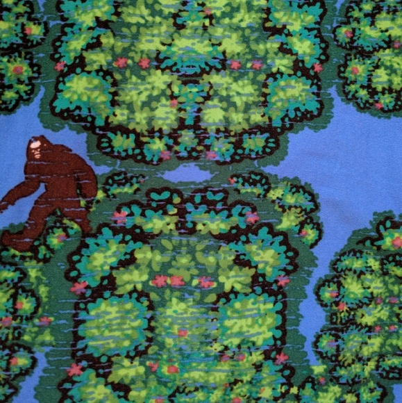 TC LuLaRoe sasquatch leggings