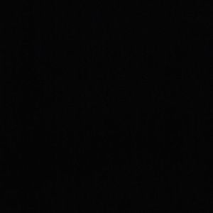 Meet your Posher, Bailey