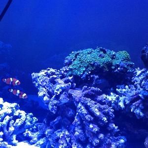 Meet your Posher, Jeff