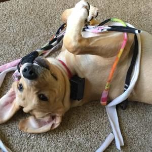 Meet your Posher, Sharon