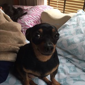 Meet your Posher, Mariel