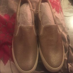 American eagle outfitters