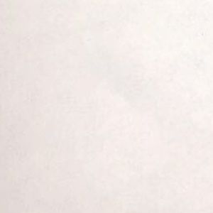 Meet your Posher, Nylah