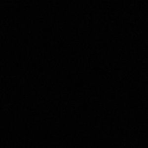 Meet your Posher, Tyra