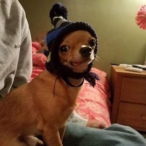 Meet your Posher, Laurie