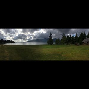 Meet your Posher, Lily