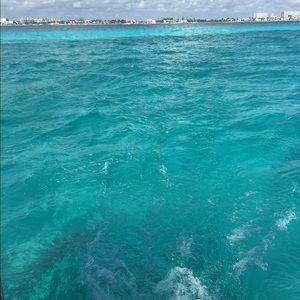 Meet your Posher, Janet