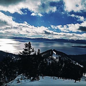 Meet your Posher, Nolan