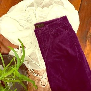 Talbots Velveteen Ankle Pants
