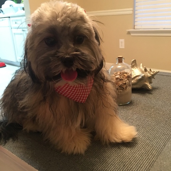 Meet your Posher, Paola