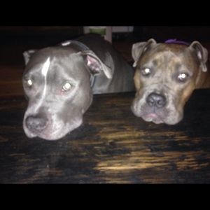 Meet your Posher, Tracy