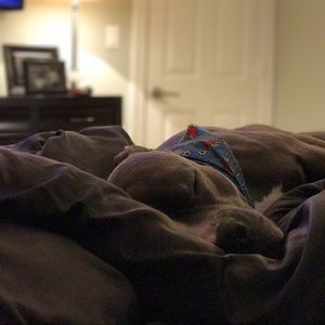 Meet your Posher, Javier