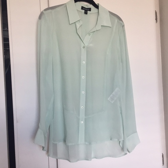 100% silk sheer button up blouse