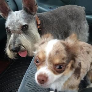 Meet your Posher, Teresa