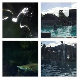 Meet your Posher, Dontae