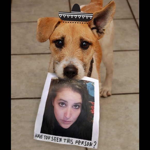 Meet your Posher - Picture 3 of 3