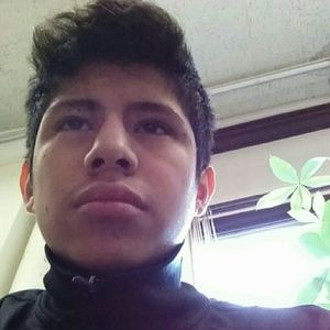 Meet your Posher, Hector