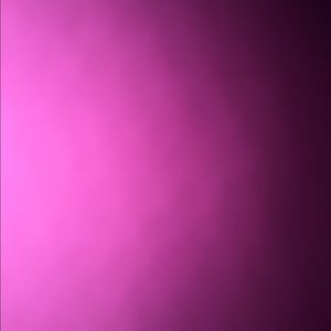 Meet your Posher, Shelby