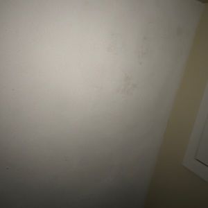 Meet your Posher, Pat