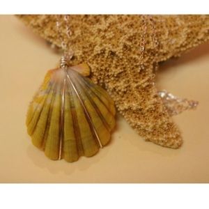 Custom Sunrise Shell Necklace