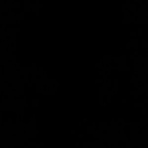 Meet your Posher, Noah