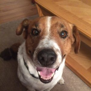 Meet your Posher, Lori