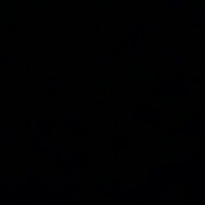 Meet your Posher, Dylan