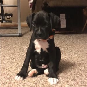 Meet your Posher, Jeff