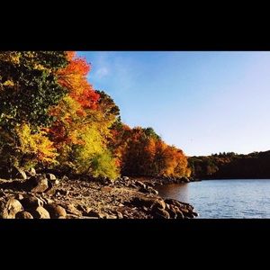 Meet your Posher, Eddie