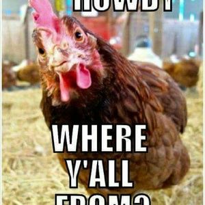 Meet your Posher, Sharon