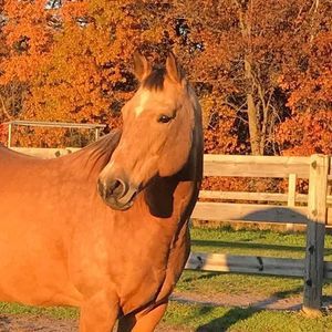 Meet your Posher, Mindy