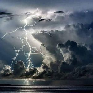 Meet your Posher, Tisha kevin