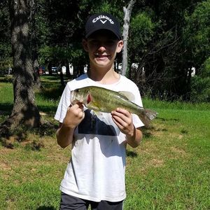 Meet your Posher, Connor