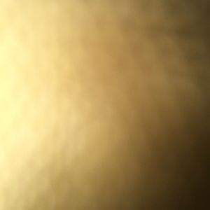 Meet your Posher, Max