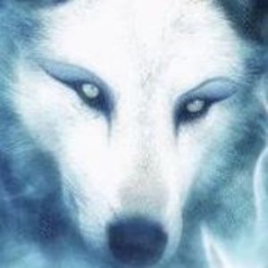 Meet your Posher, Bonnie