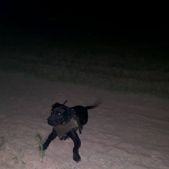 Meet your Posher, Holli